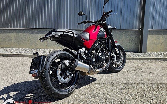 Gebrauchtmotorrad Benelli Leoncino 500 - Bild 5