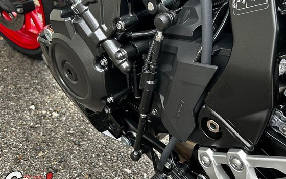 Neufahrzeug Suzuki GSX-8TT - Bild 9