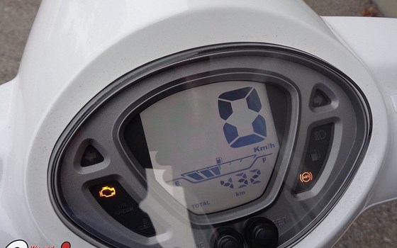 Neufahrzeug Sym Fiddle 125 ABS E5 - Bild 3