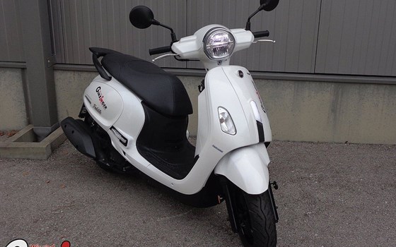 Neufahrzeug Sym Fiddle 125 ABS E5 - Bild 5