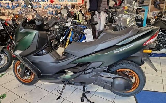 Neufahrzeug Suzuki Burgman 400 - Bild 2