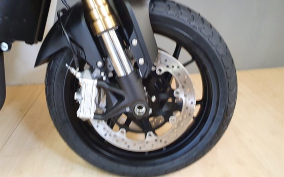 Neufahrzeug Benelli Leoncino 800 - Bild 5