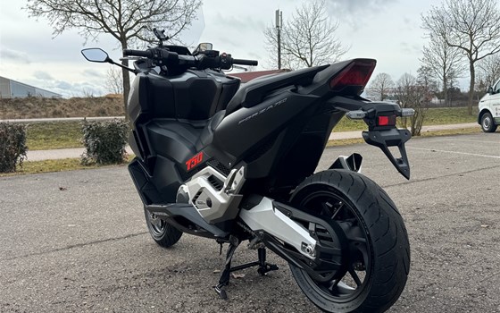 Gebrauchtmotorrad Honda Forza 750 - Bild 4