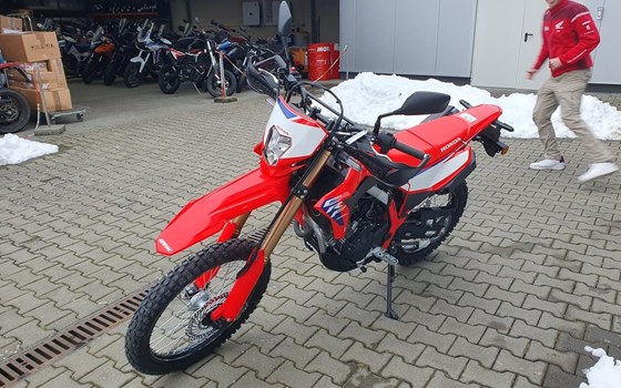 Neufahrzeug Honda CRF300L - Bild 18