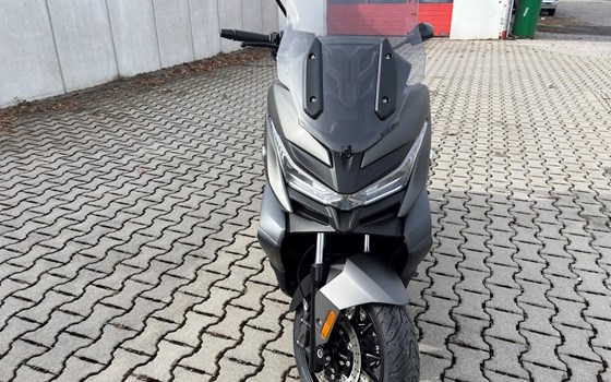 Neufahrzeug Voge SR4 350 LUXURY - Bild 2