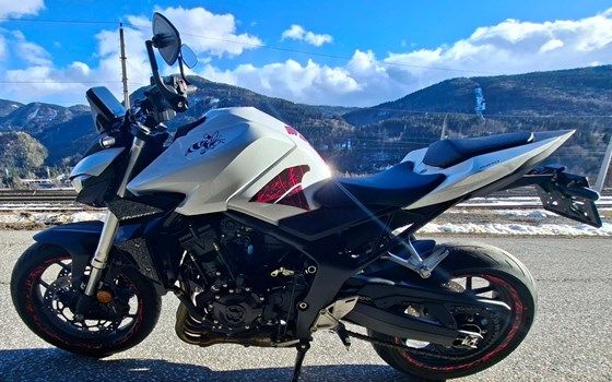 Gebrauchtmotorrad Honda CB1000 Hornet - Bild 1