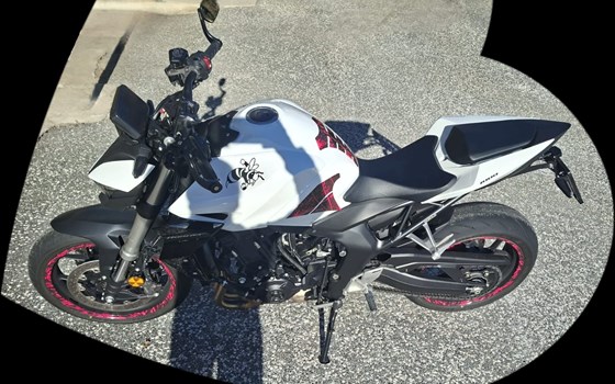 Gebrauchtmotorrad Honda CB1000 Hornet - Bild 6