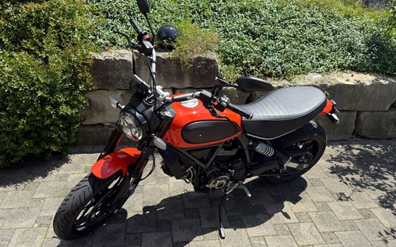 Motorrad Occasion Ducati Scrambler Icon - Bild 1