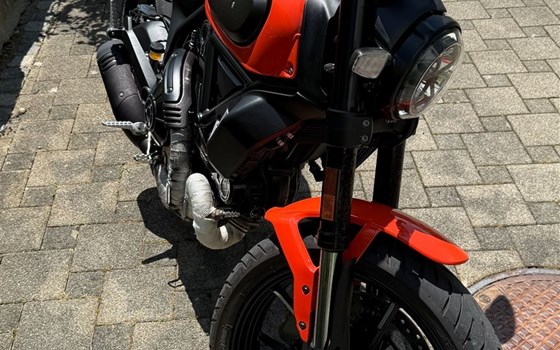 Motorrad Occasion Ducati Scrambler Icon - Bild 2