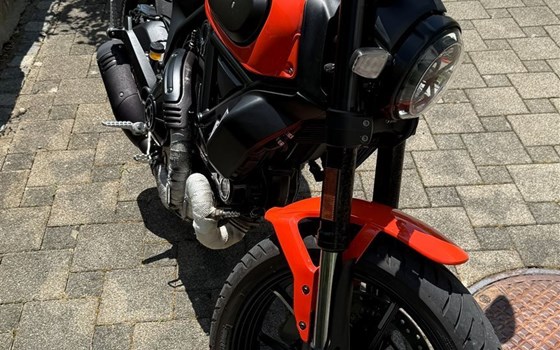 Motorrad Occasion Ducati Scrambler Icon - Bild 2