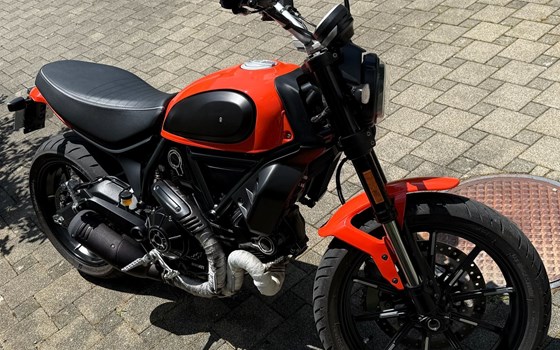 Motorrad Occasion Ducati Scrambler Icon - Bild 3