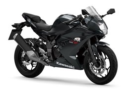 Neumotorrad Kawasaki Ninja 125