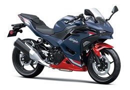 Neumotorrad Kawasaki Ninja 500 SE