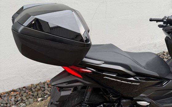 Gebrauchtmotorrad Honda Forza 350 - Bild 7