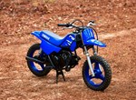 Angebot Yamaha PW50
