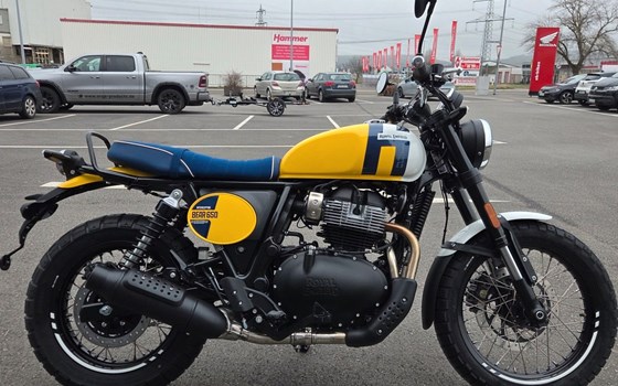 Neufahrzeug Royal Enfield Bear 650 - Bild 5