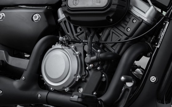 Neufahrzeug Benda Chinchilla 300 - Bild 18