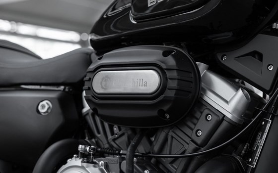 Neufahrzeug Benda Chinchilla 300 - Bild 19