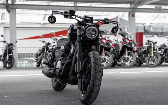 Neufahrzeug Benda Chinchilla 300 - Bild 2