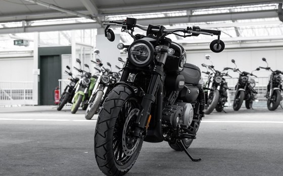 Neufahrzeug Benda Chinchilla 300 - Bild 3