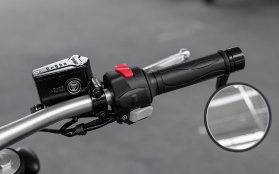 Neufahrzeug Benda Chinchilla 300 - Bild 7