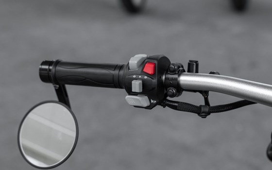 Neufahrzeug Benda Chinchilla 300 - Bild 8