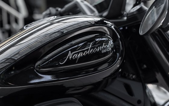 Neufahrzeug Benda Napoleonbob 500 - Bild 14