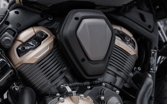 Neufahrzeug Benda Napoleonbob 500 - Bild 15