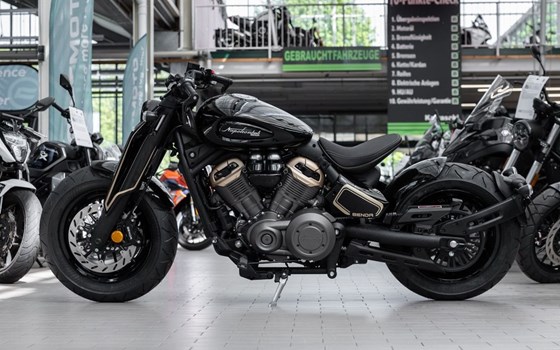 Neufahrzeug Benda Napoleonbob 500 - Bild 4