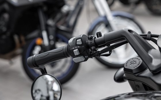 Neufahrzeug Benda Napoleonbob 500 - Bild 8