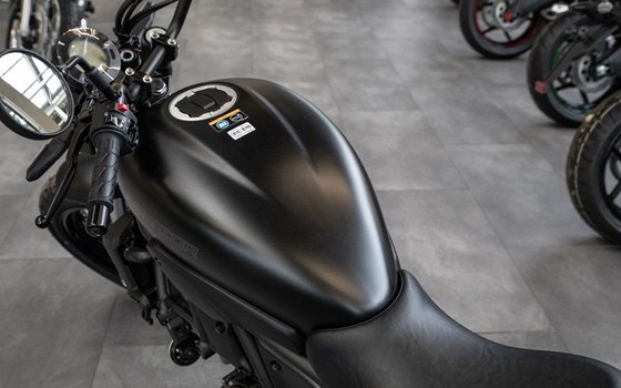 Neufahrzeug Kawasaki Eliminator 500 - Bild 8