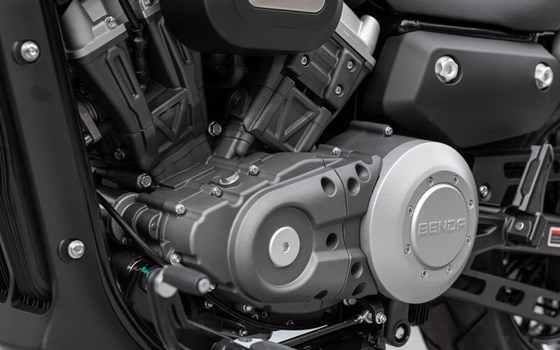 Neufahrzeug Benda Chinchilla 300 - Bild 14