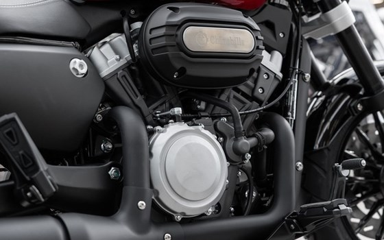 Neufahrzeug Benda Chinchilla 300 - Bild 15