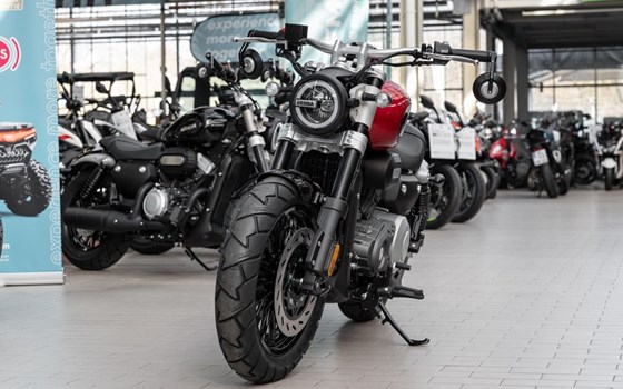 Neufahrzeug Benda Chinchilla 300 - Bild 3