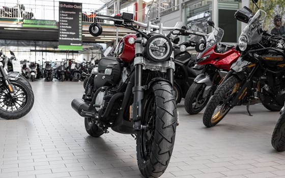 Neufahrzeug Benda Chinchilla 300 - Bild 4