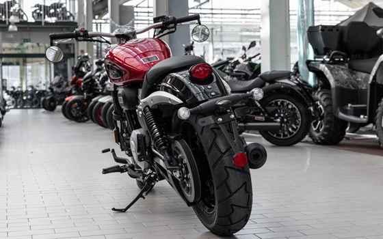 Neufahrzeug Benda Chinchilla 300 - Bild 5