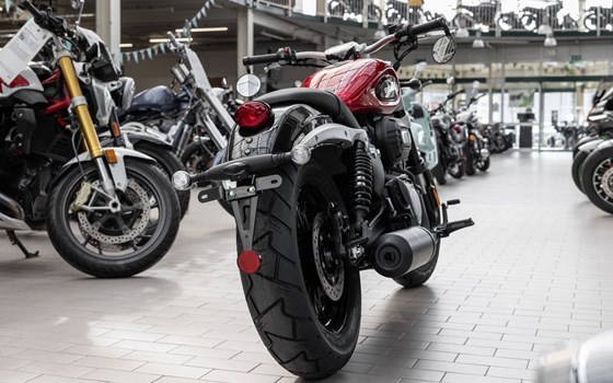 Neufahrzeug Benda Chinchilla 300 - Bild 6