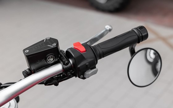 Neufahrzeug Benda Chinchilla 300 - Bild 7