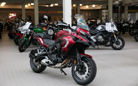 Neufahrzeug Benelli TRK 502 - Bild 2