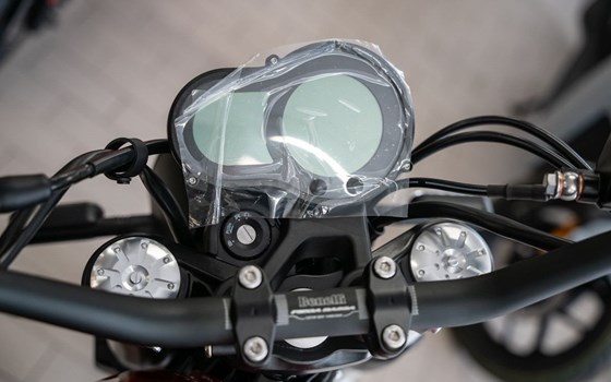 Neufahrzeug Benelli Leoncino 500 Trail - Bild 11