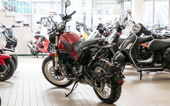 Neufahrzeug Benelli Leoncino 500 Trail - Bild 2