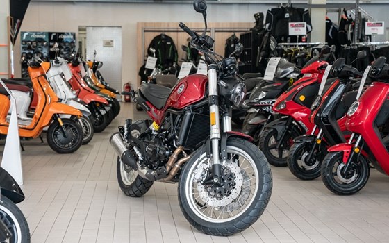 Neufahrzeug Benelli Leoncino 500 Trail - Bild 3