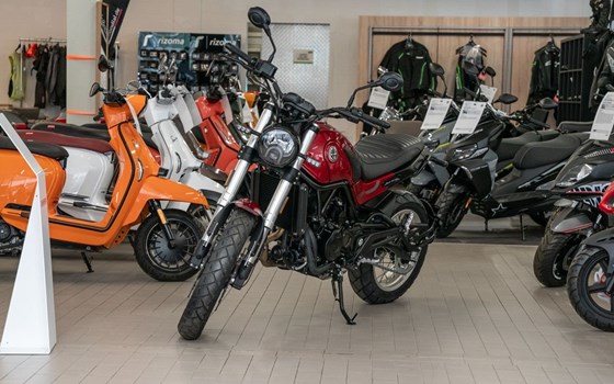 Neufahrzeug Benelli Leoncino 500 Trail - Bild 4