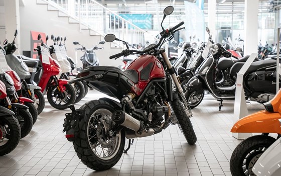 Neufahrzeug Benelli Leoncino 500 Trail - Bild 5