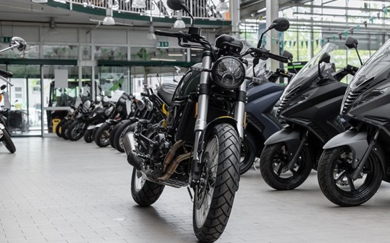 Neufahrzeug Benelli Leoncino 500 Trail - Bild 2