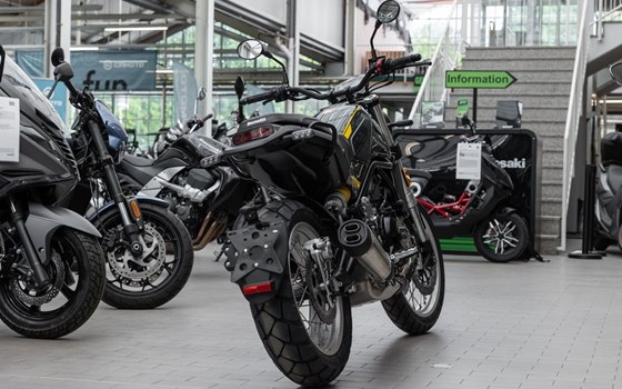 Neufahrzeug Benelli Leoncino 500 Trail - Bild 6