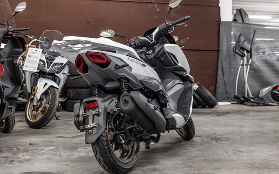 Neufahrzeug Malaguti Madison 125 - Bild 6