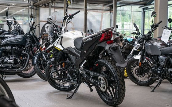 Neufahrzeug Motron X-Nord 125 - Bild 5