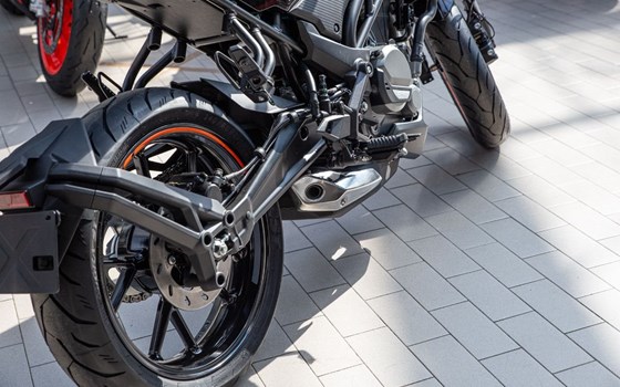 Neufahrzeug CFMOTO 300NK - Bild 17