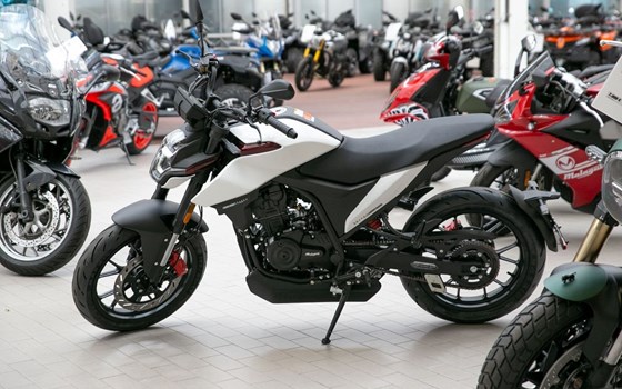 Neufahrzeug Malaguti Drakon 125 ABS - Bild 2